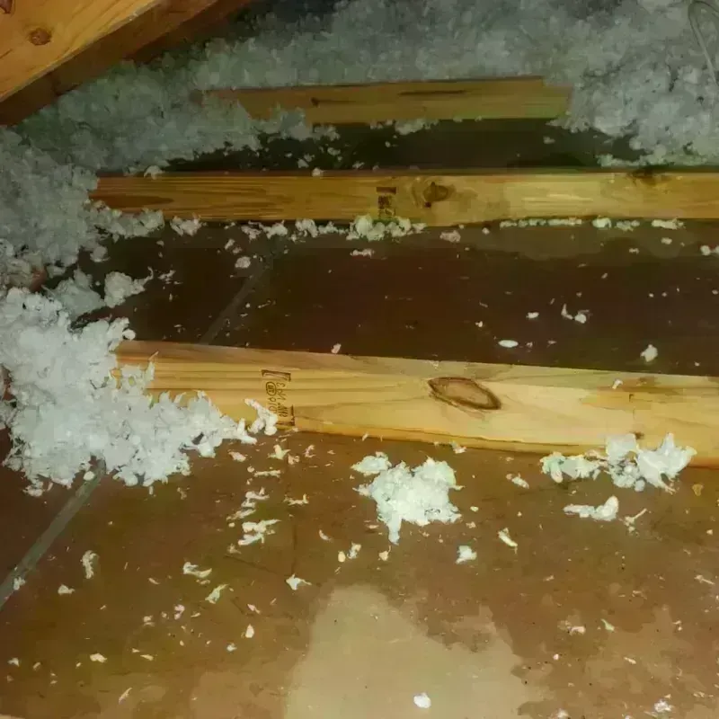 Attic Water Damage in Van Vleck, TX